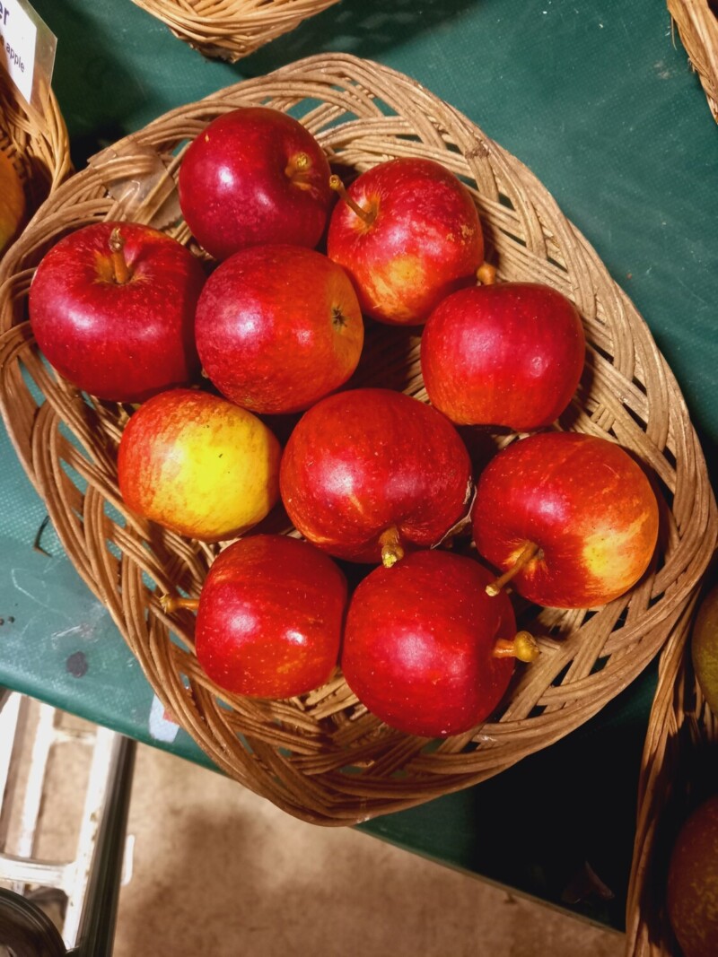 Ellison's Orange apples