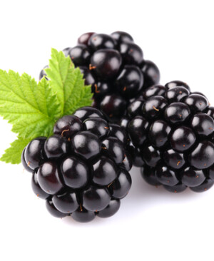 Blackberry & Hybrid Berries