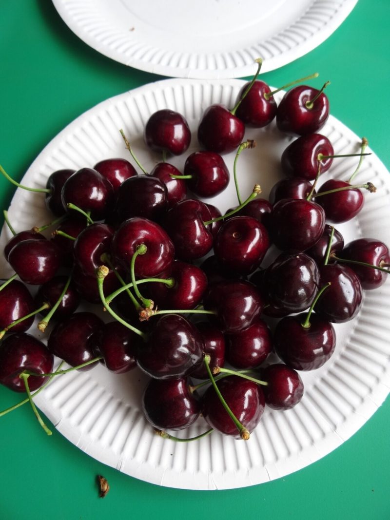 Kordia cherry fruit