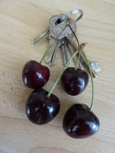 Cherry Kordia fruit