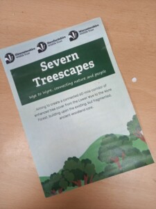 Severn Treescapes leaflet cover