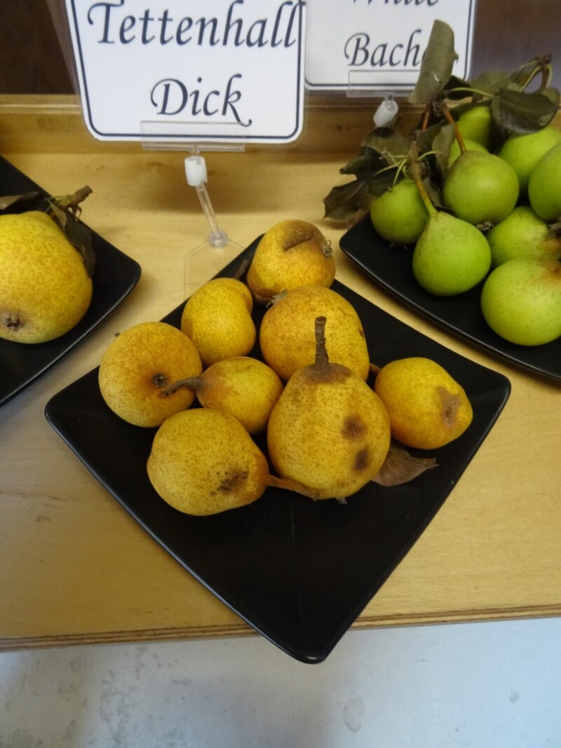 Tettenhall Dick Pears